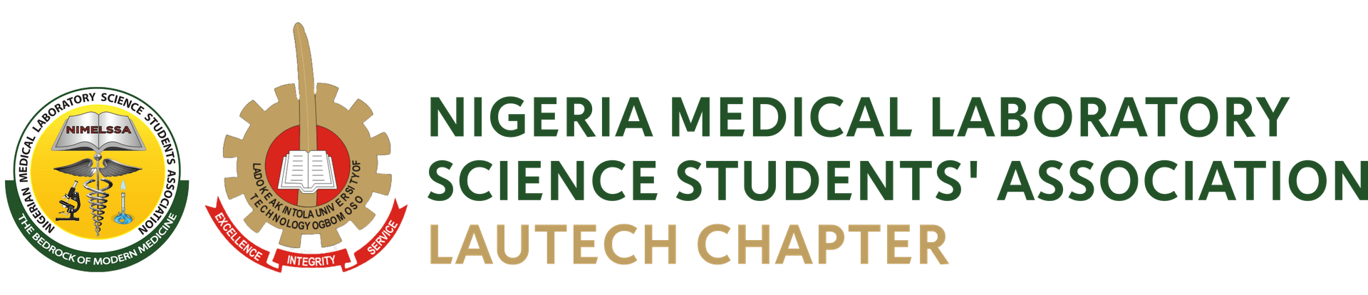NIMELSSA LAUTECH logo